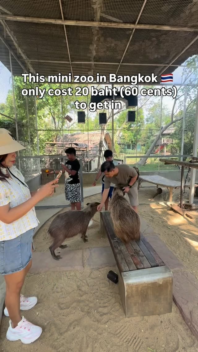 Affordable Mini Zoo Features Exotic Animals