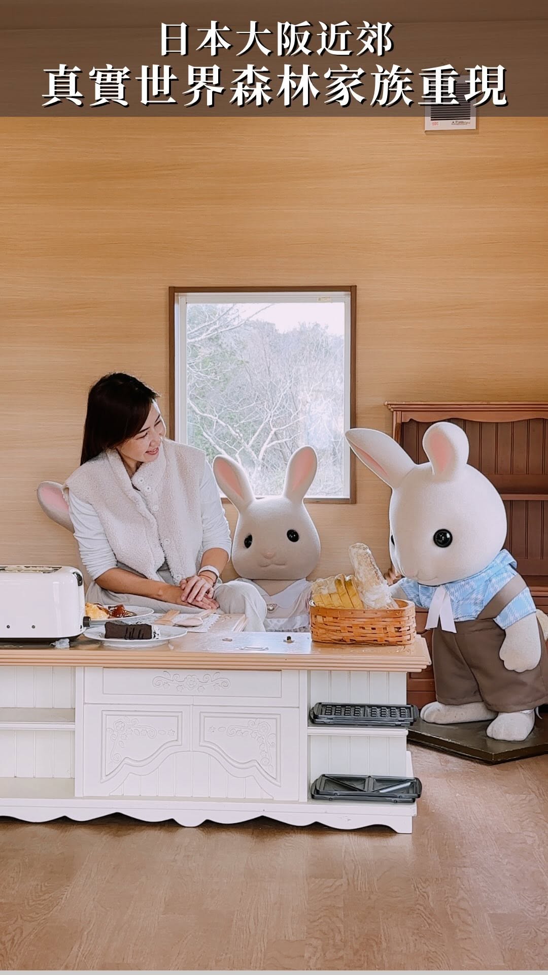 Sylvanian Park and Harvest Hill Theme Parks