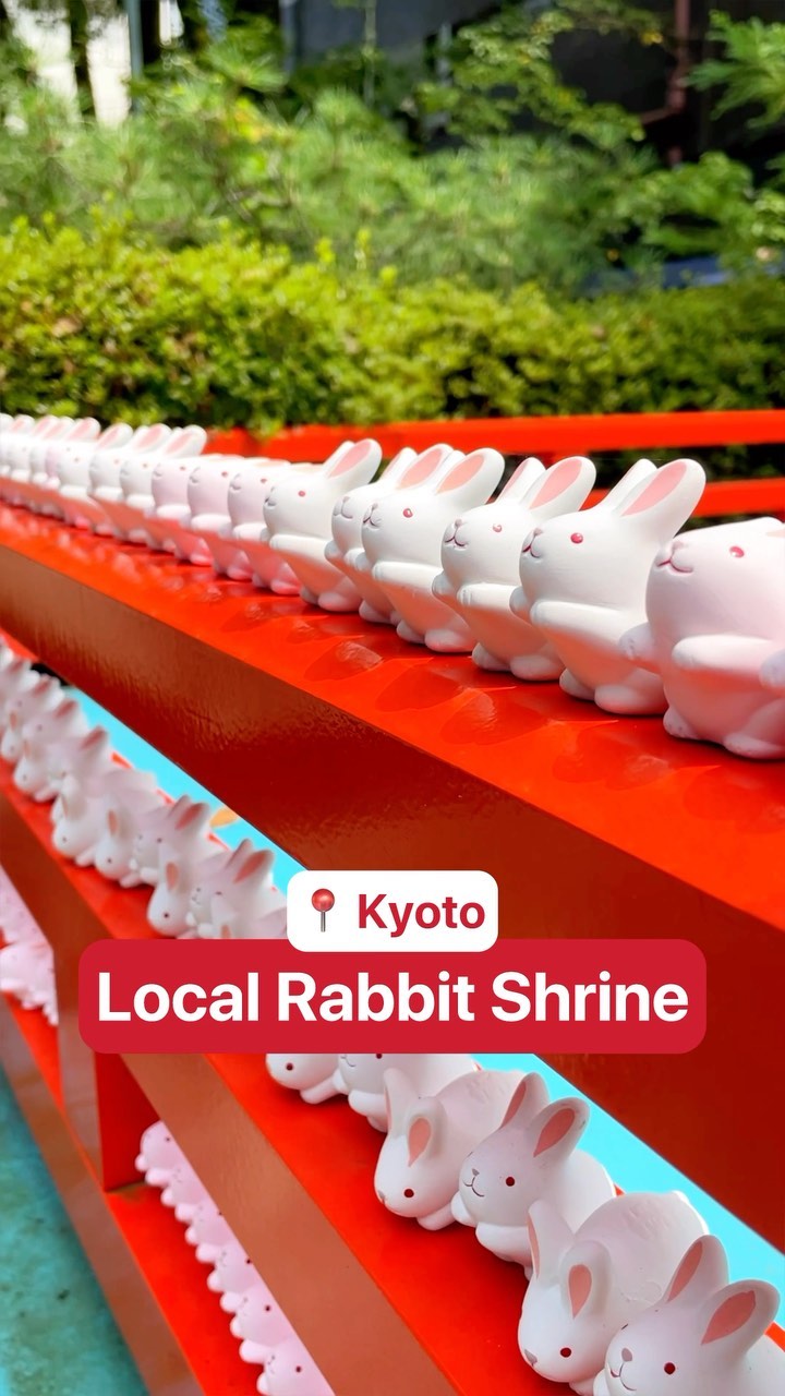 Okazaki Shrine: Kyoto's Rabbit Sanctuary