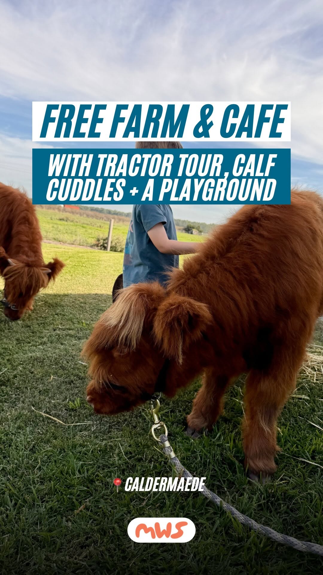 Caldermeade Farm Offers Free Dairy Fun Near Phillip Island