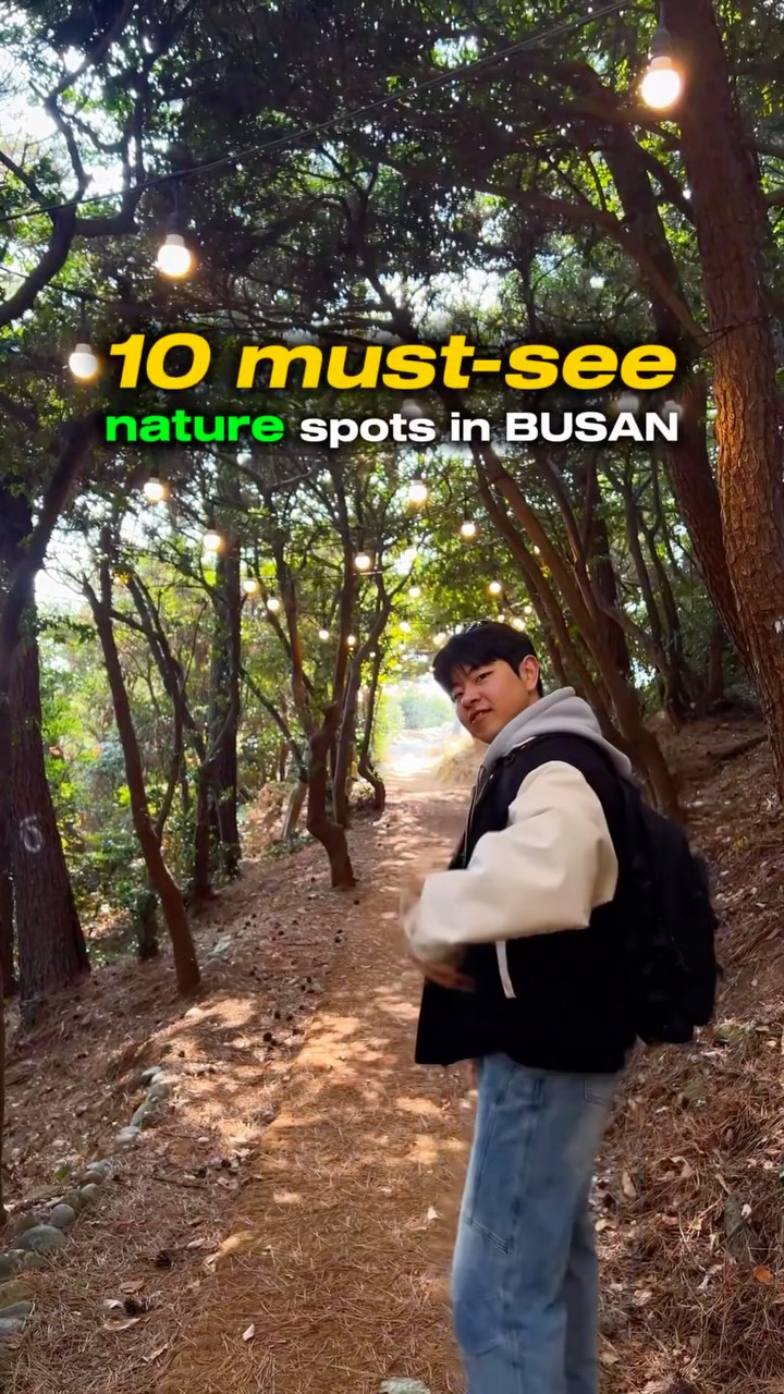 3 Attractions in Busan