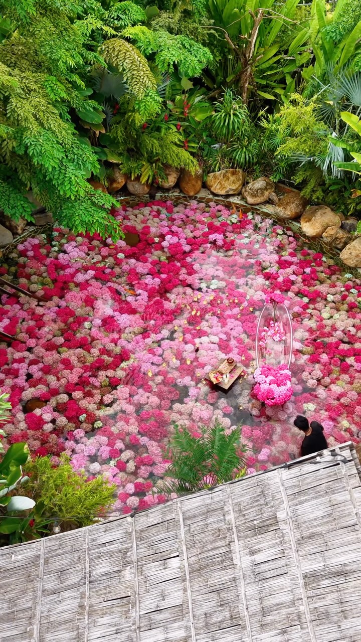 Fairytale Hydrangea Lake Offers Peaceful Escape