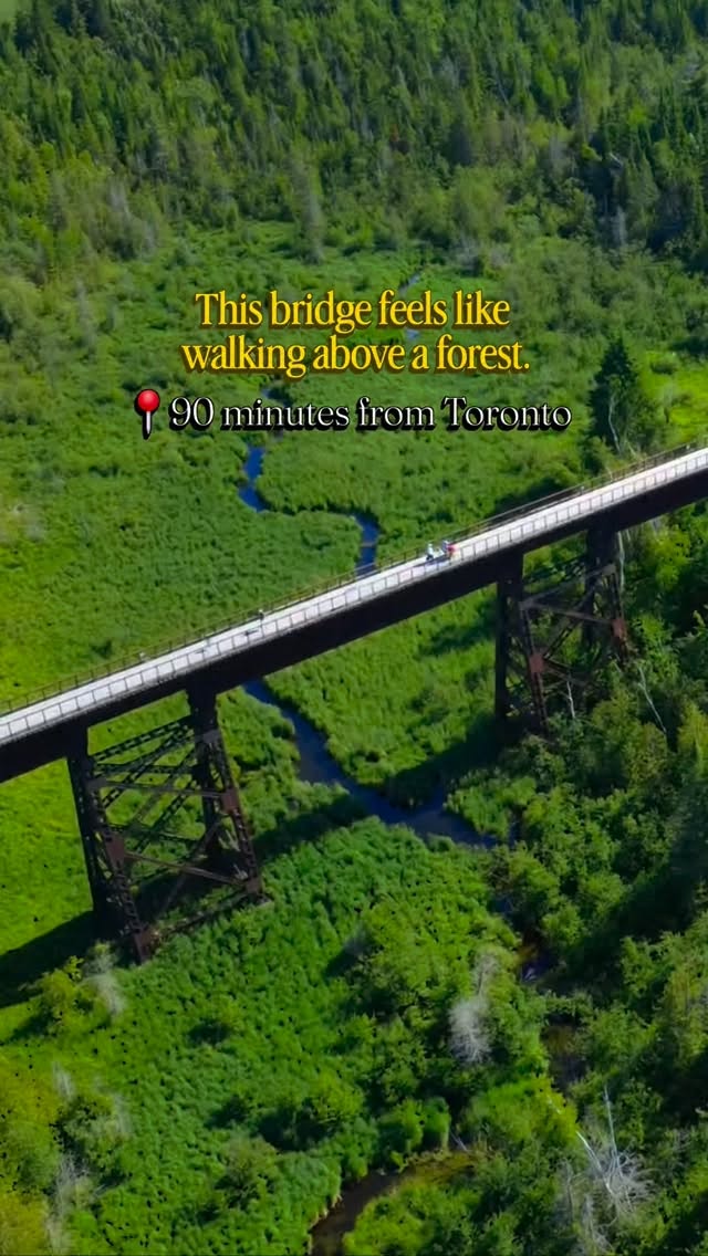 Doube's Trestle Bridge: Walk Above Ontario Forests