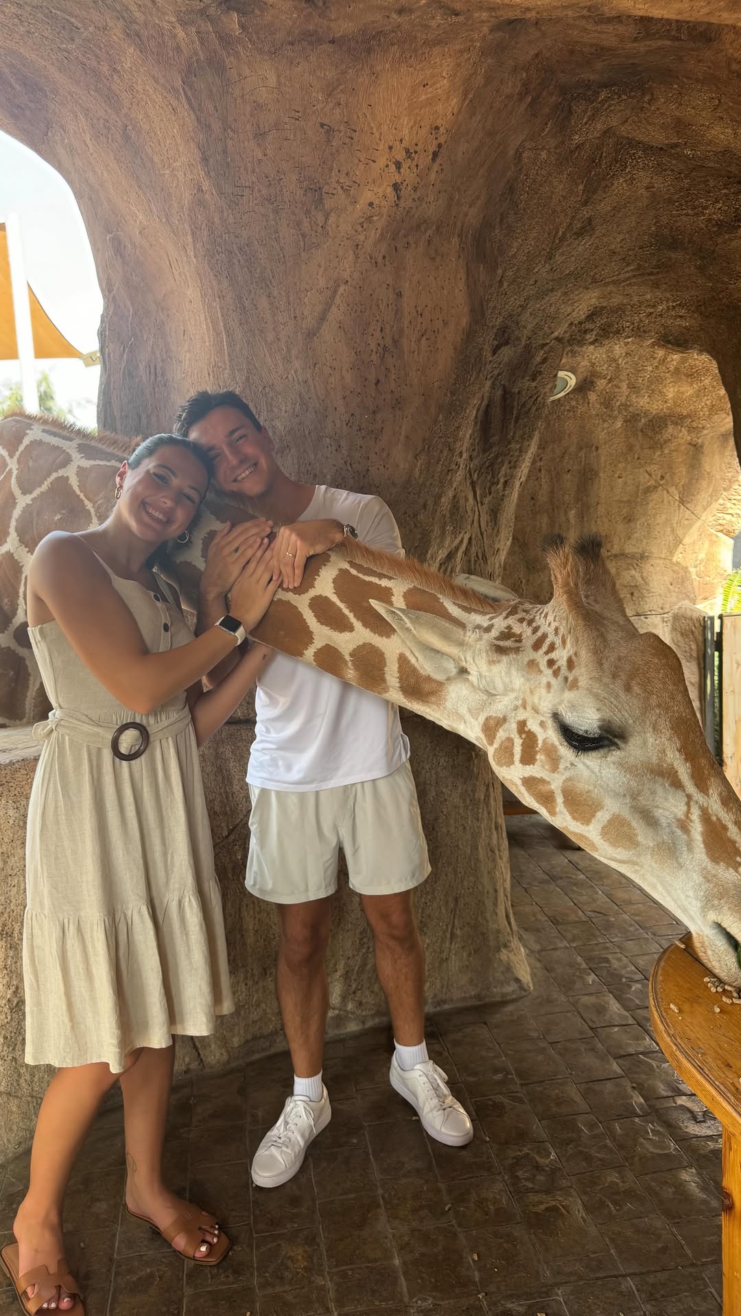 Breakfast With Giraffes At Emirates Park Zoo