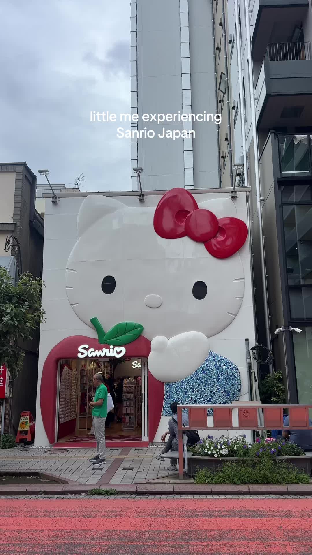 Sanrio Store's Adorable Hello Kitty Merchandise
