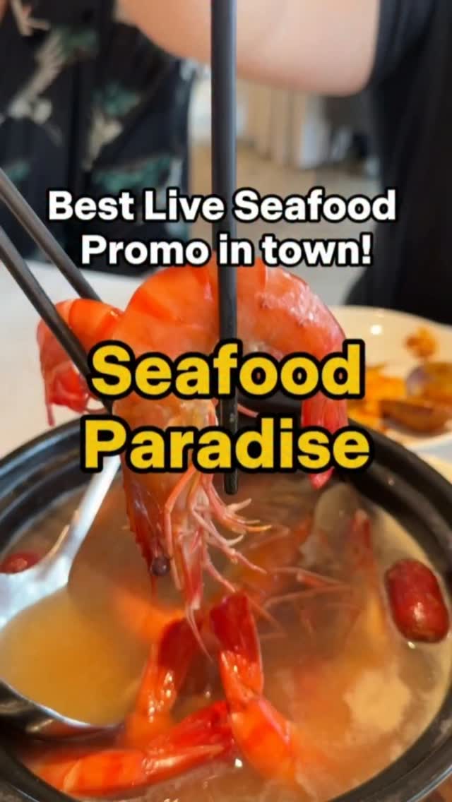 Seafood Paradise Highlights Live Dishes And Promotions