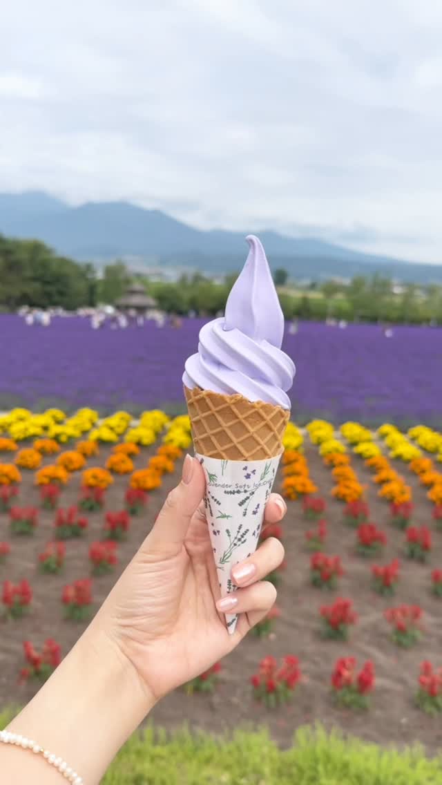9 Cafes in Hokkaido