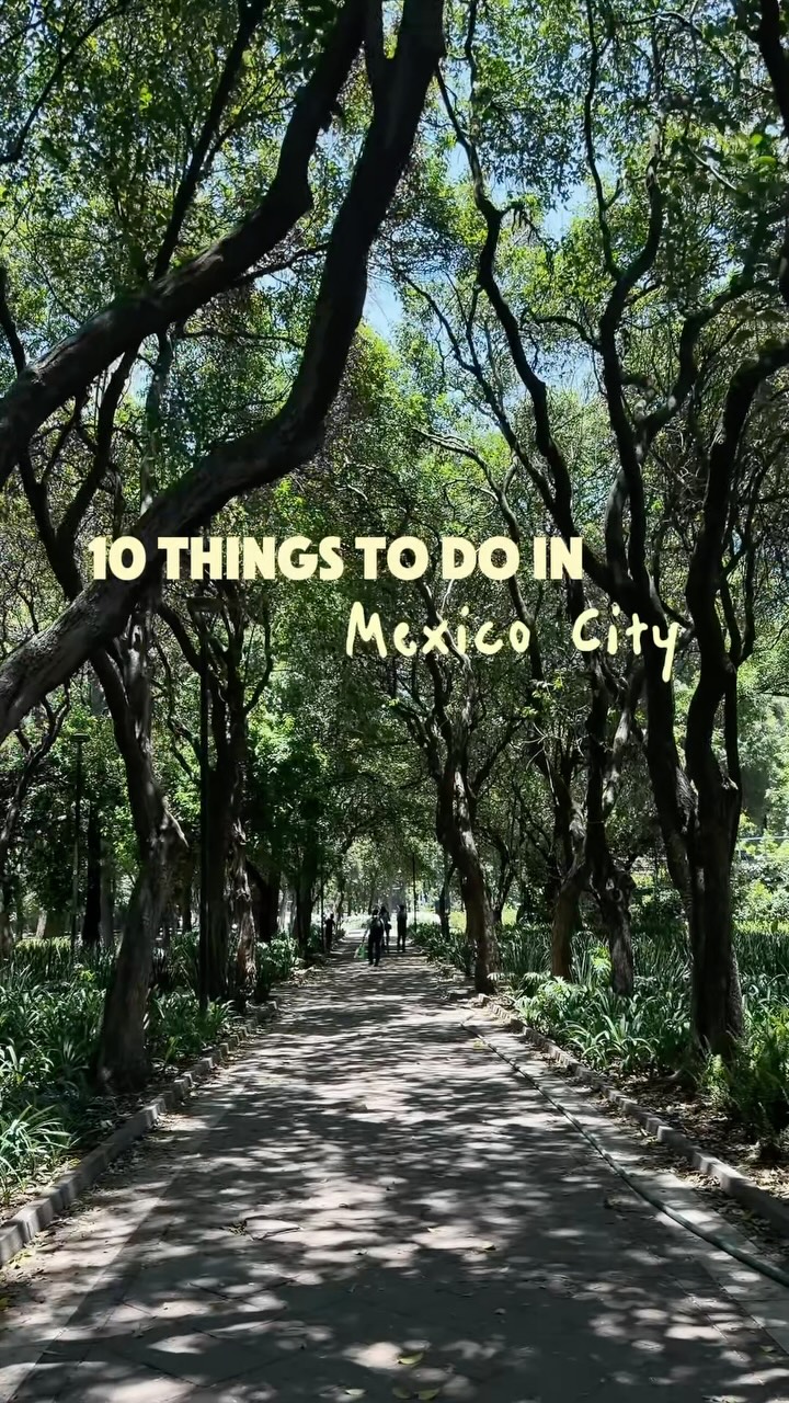Iconic Mexico City Landmarks And Neighborhoods