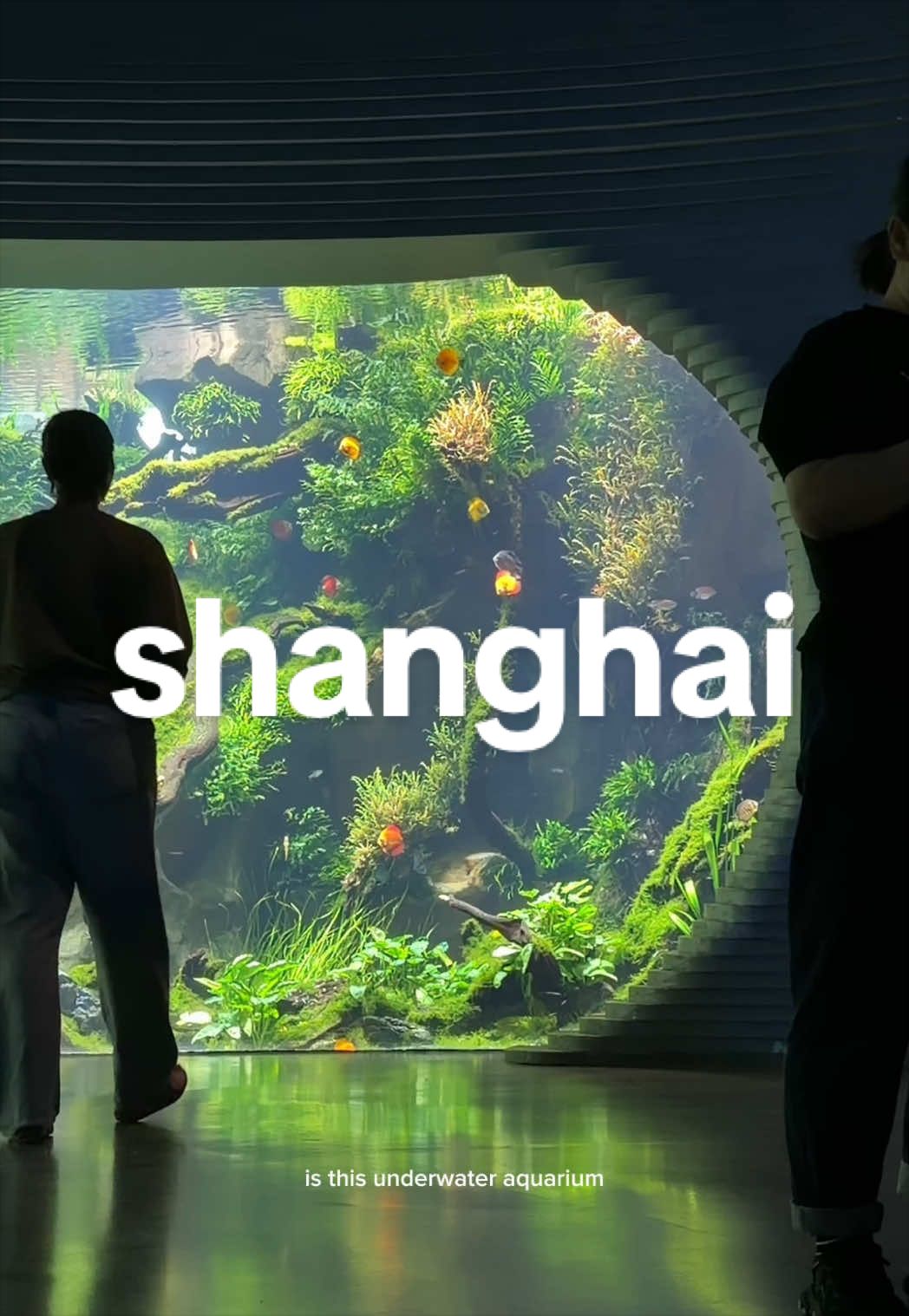 Shanghai Botanical Garden's Diverse Attractions
