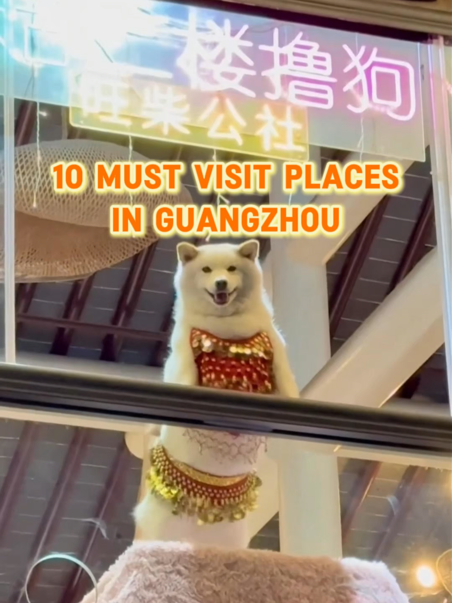Guangzhou's Top Ten Must-Visit Destinations