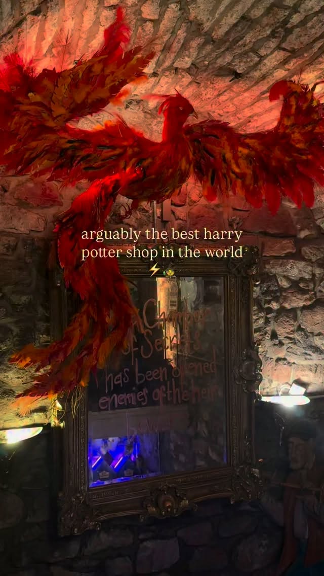 Harry Potter Merchandise Shop Extravaganza