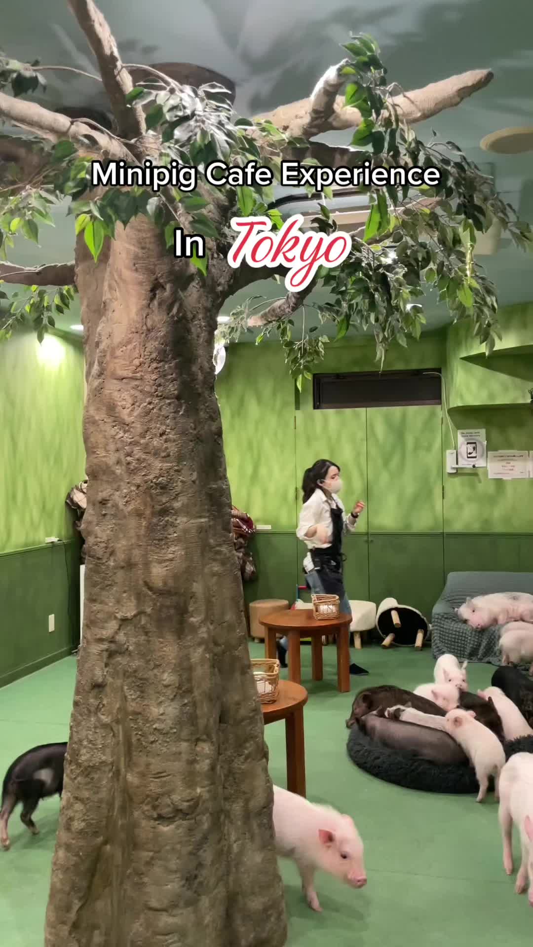 1 Shops in Shibuya