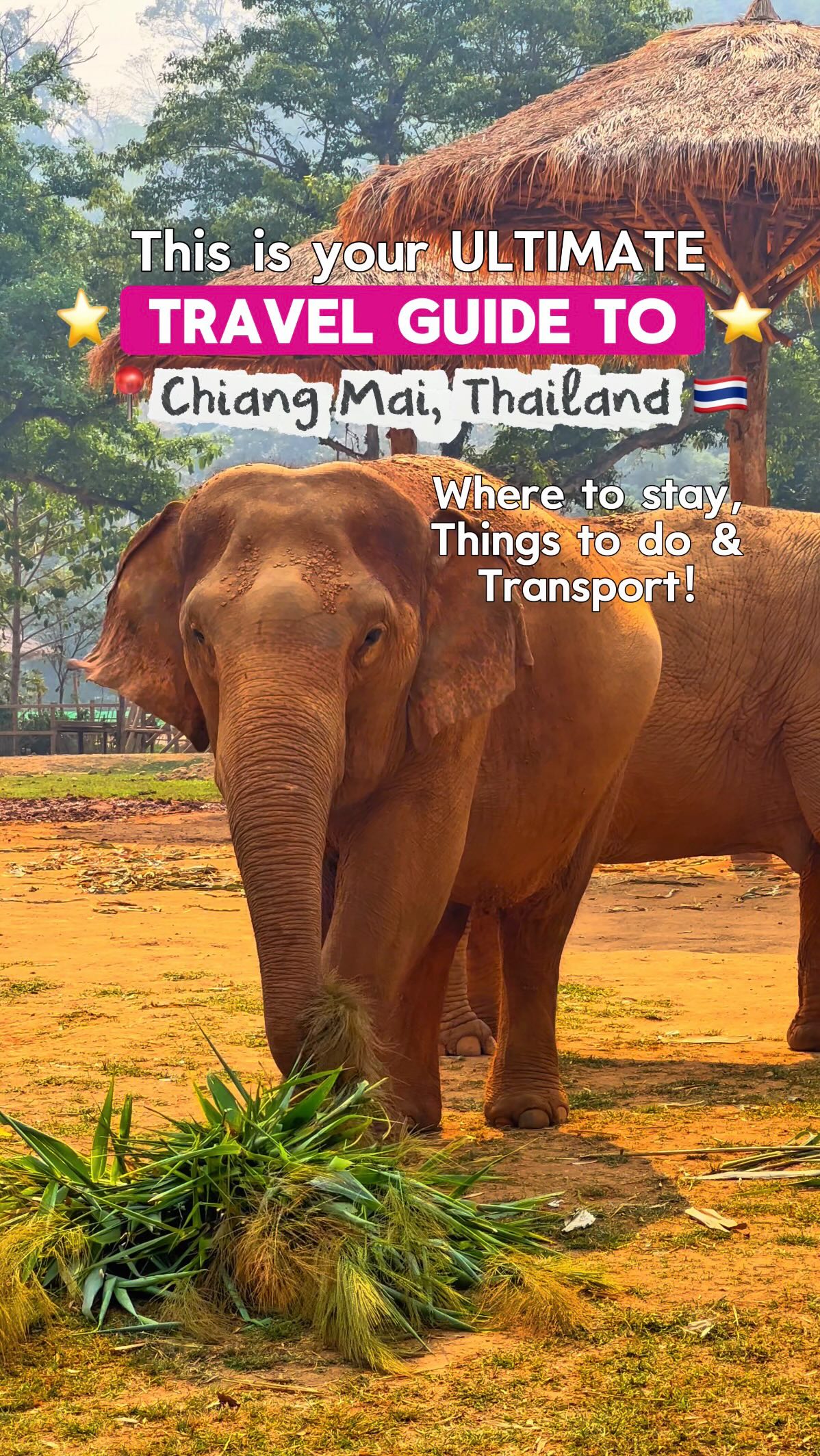 Chiang Mai's Top Temples, Markets, and Nature Attractions