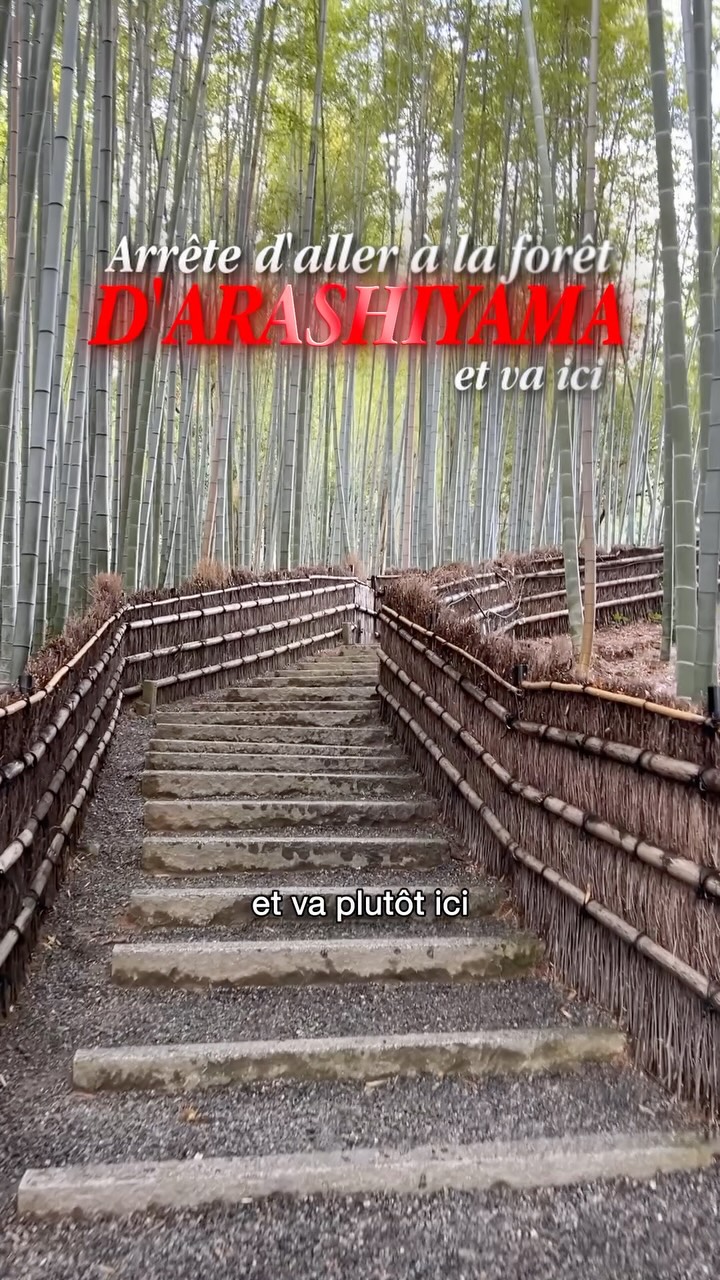 Kyoto's Arashiyama Area Temples and Bamboo Forest