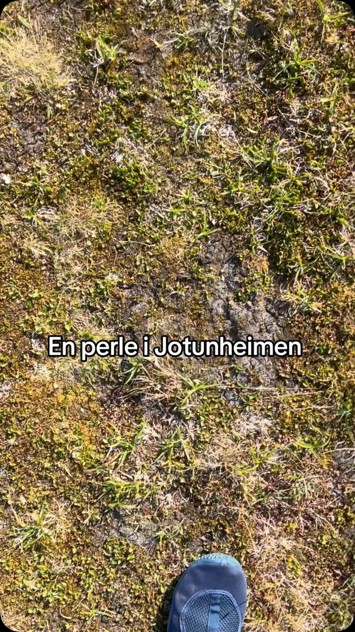 2 Nature spots in Innlandet