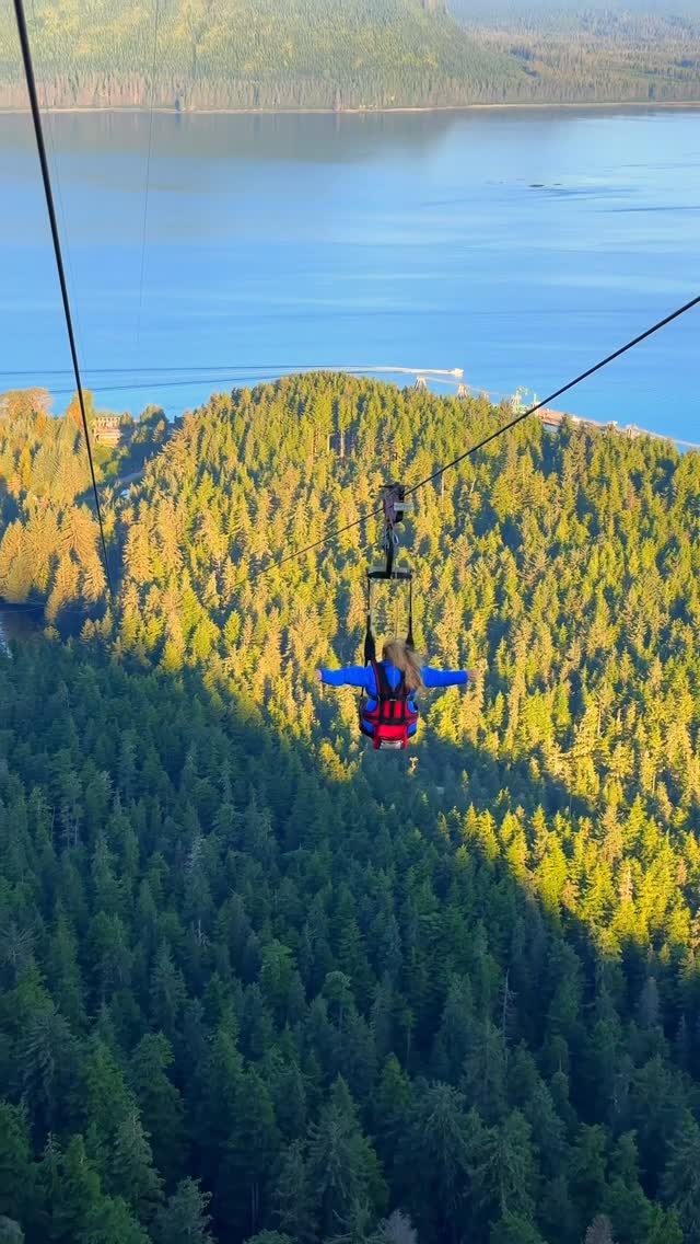 Alaska's ZipRider Over Forested Passages