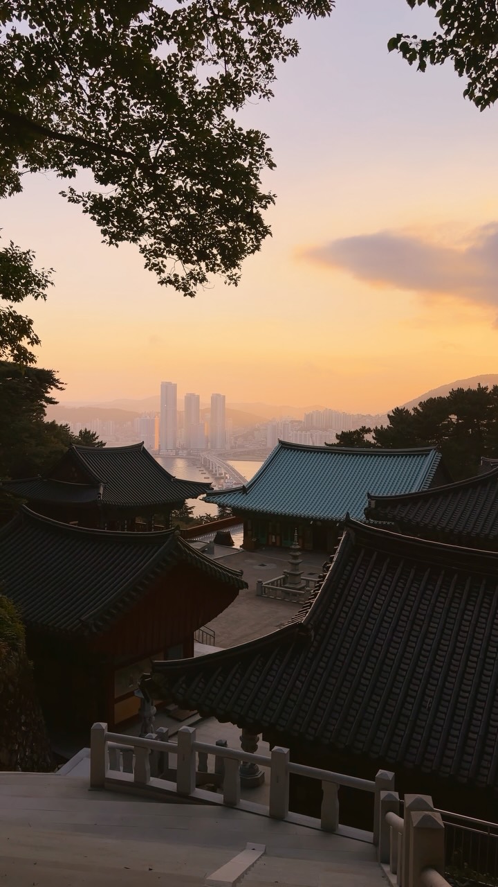 Busan's Scenic Spots: Beomeosa and Gwangan Bridge