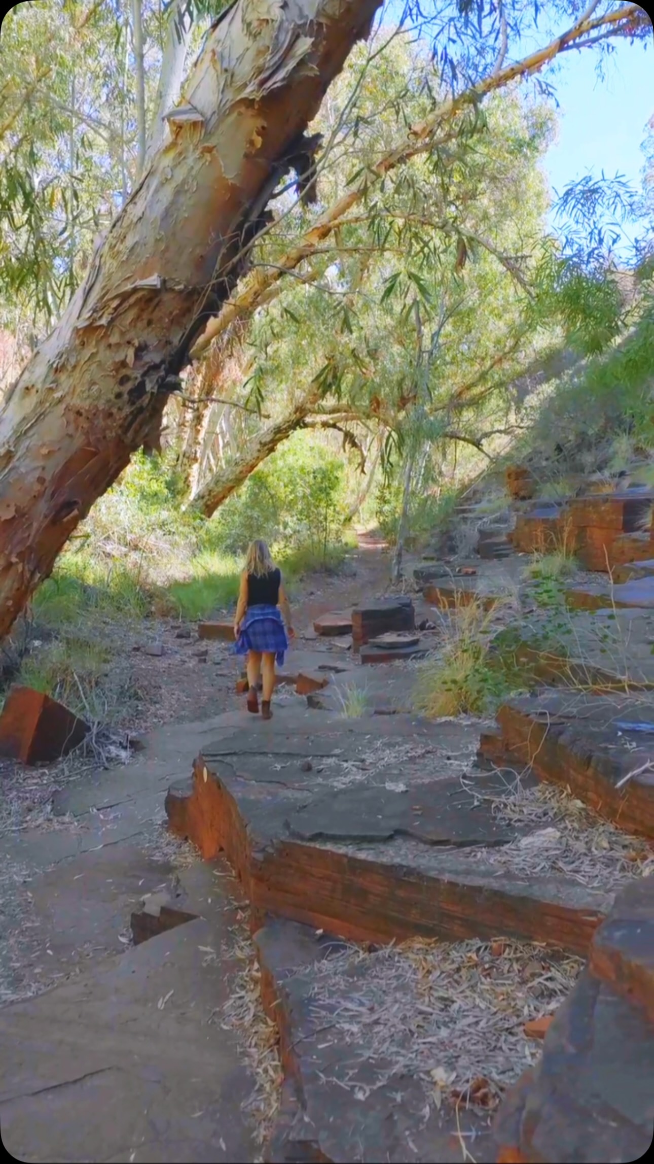 Karijini National Park Oasis and Gorge Hike