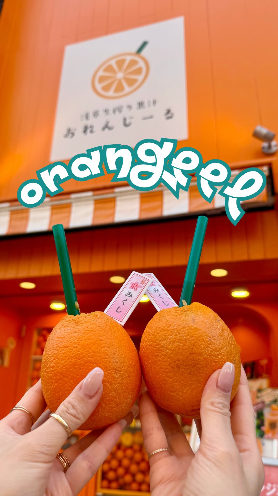 Orangeel: A Citrus Lover's Delight