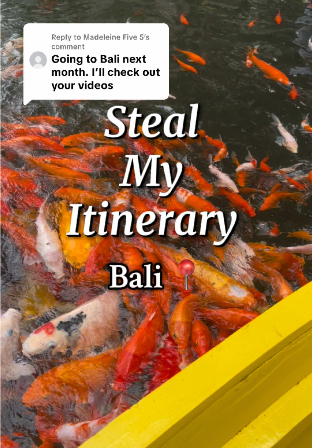 Bali Attractions: Elephant Park, Ritz-Carlton, Turtle Center