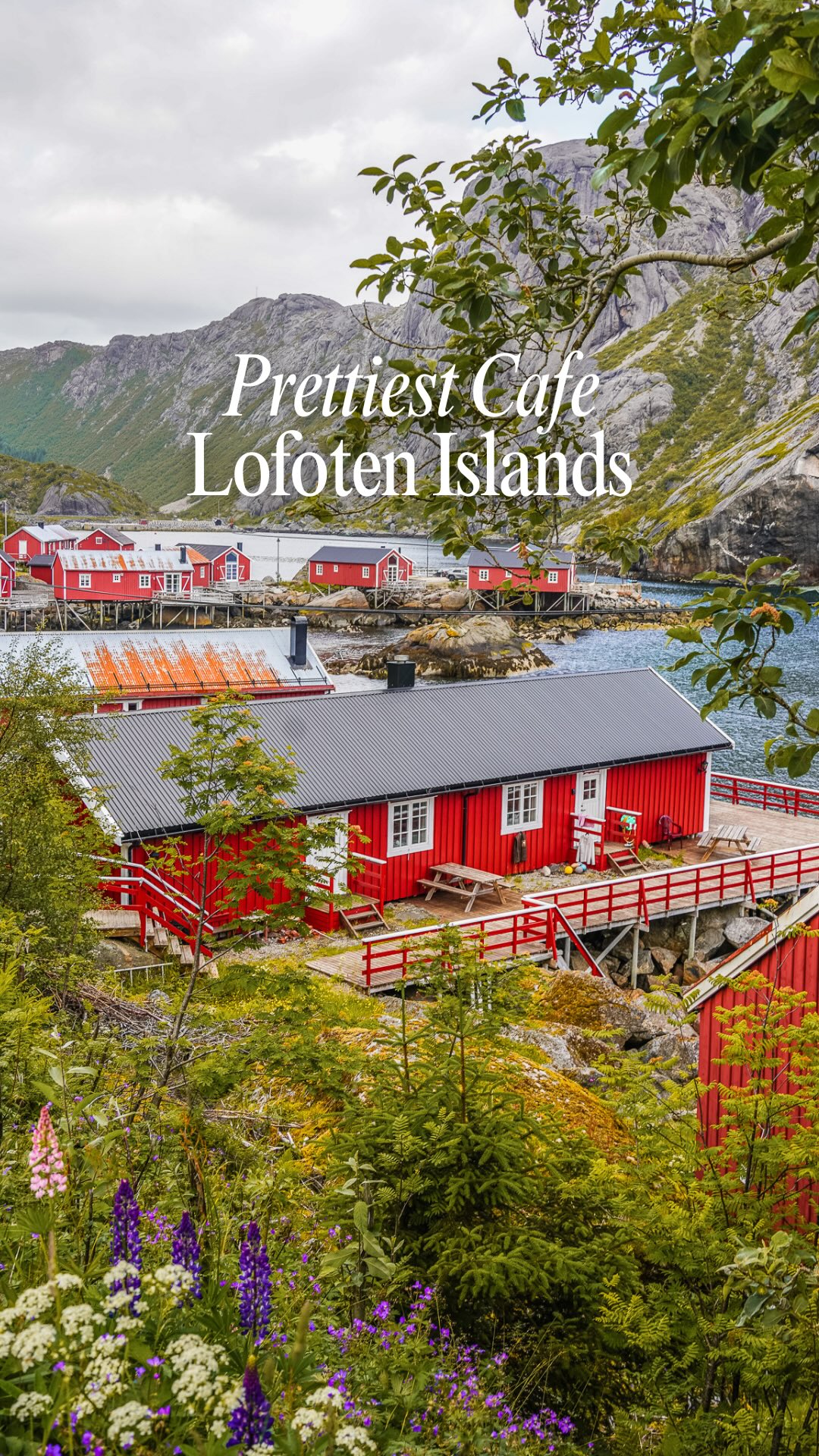 Historic Lofoten Islands Café in Nusfjord