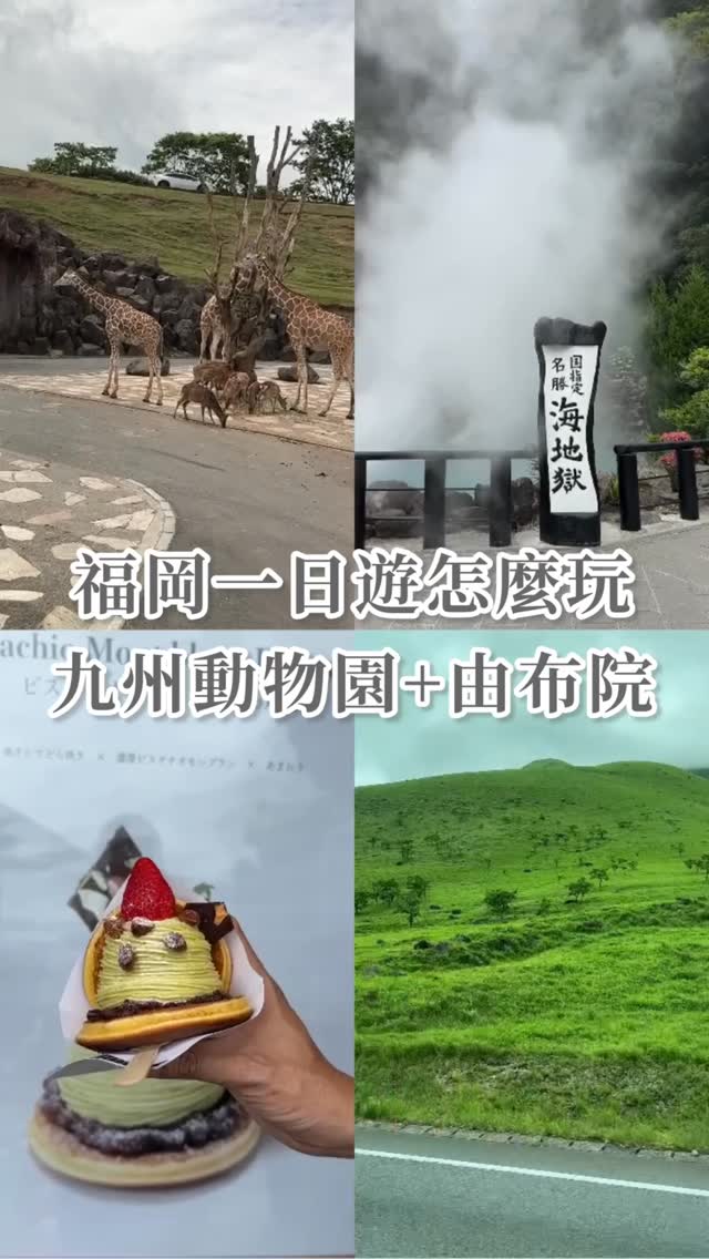 Exploring Yufuin: Hot Springs, Nature, and Wildlife