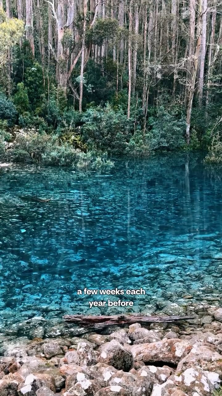 Turquoise Pool Within Wellington Park