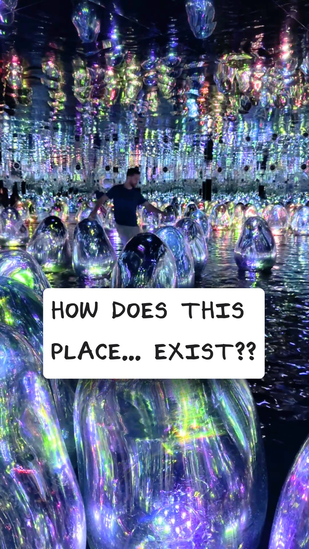 Immersive Digital Art Experience at teamLab Phenomena