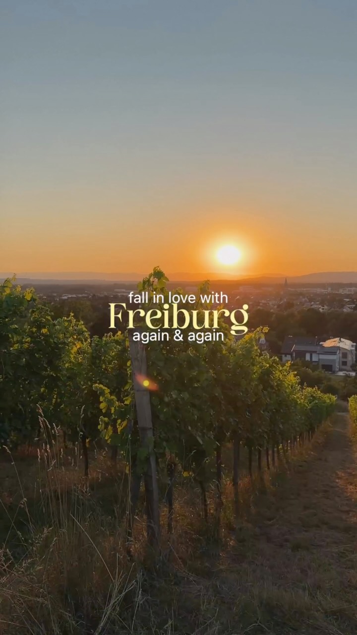 14 Places in Freiburg im Breisgau