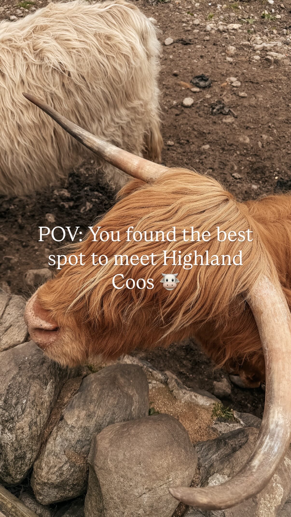 4 Places in Scotland