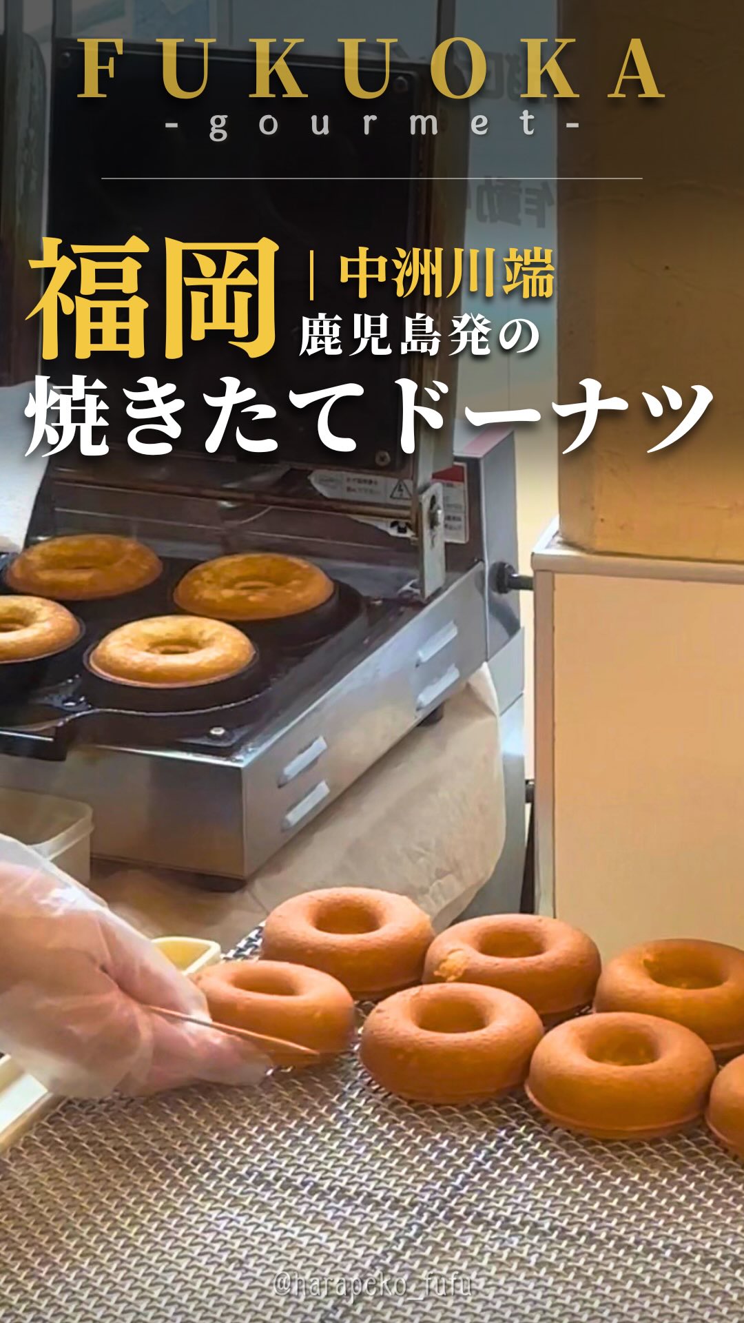 2 Cafes in Fukuoka