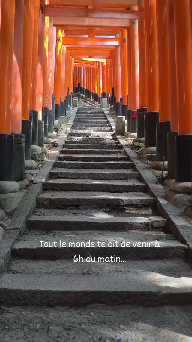 Fushimi Inari Taisha: Explore Beyond Crowded Lower Trails