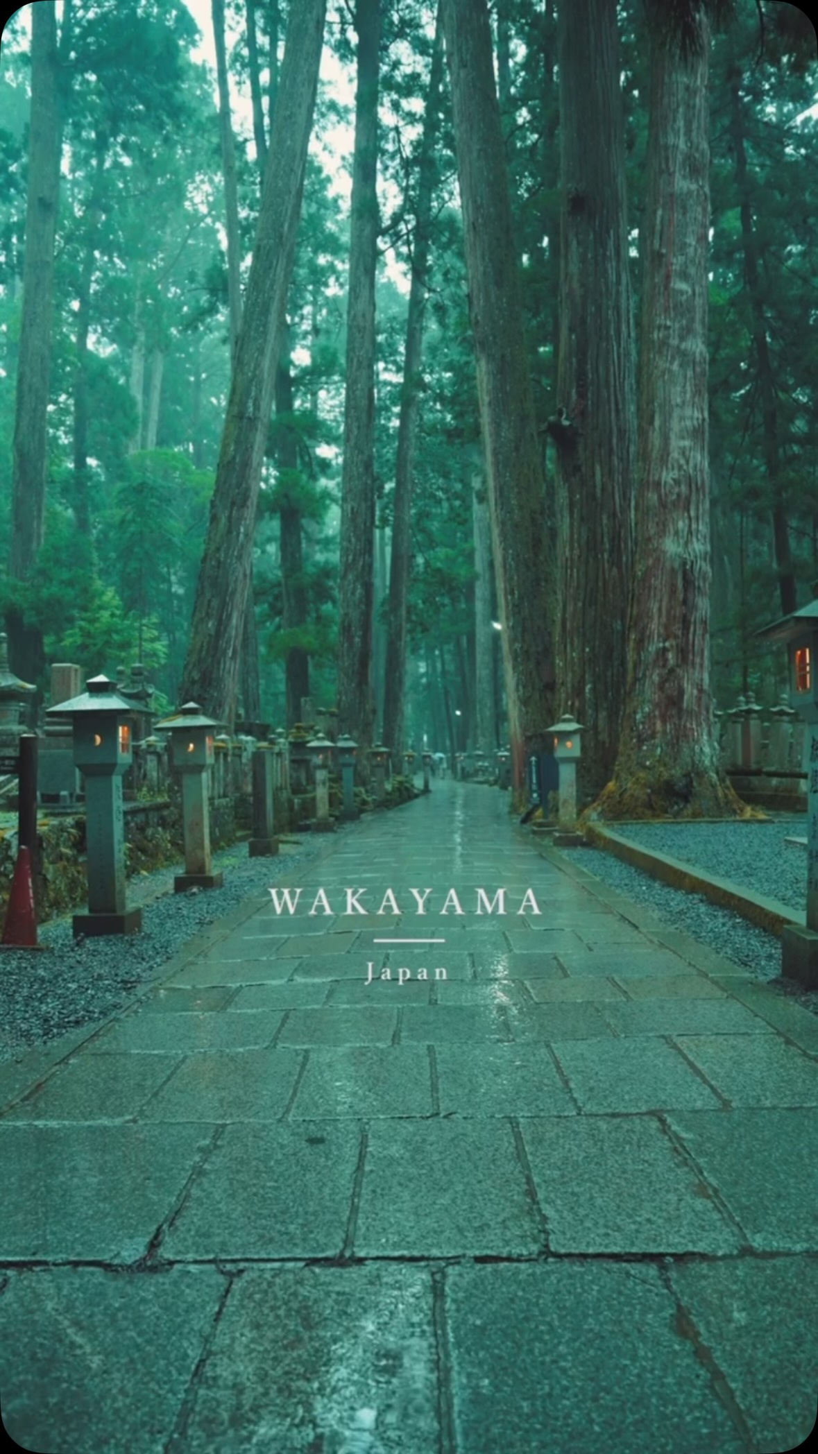 Serene Koyasan's Rainy Day Charm