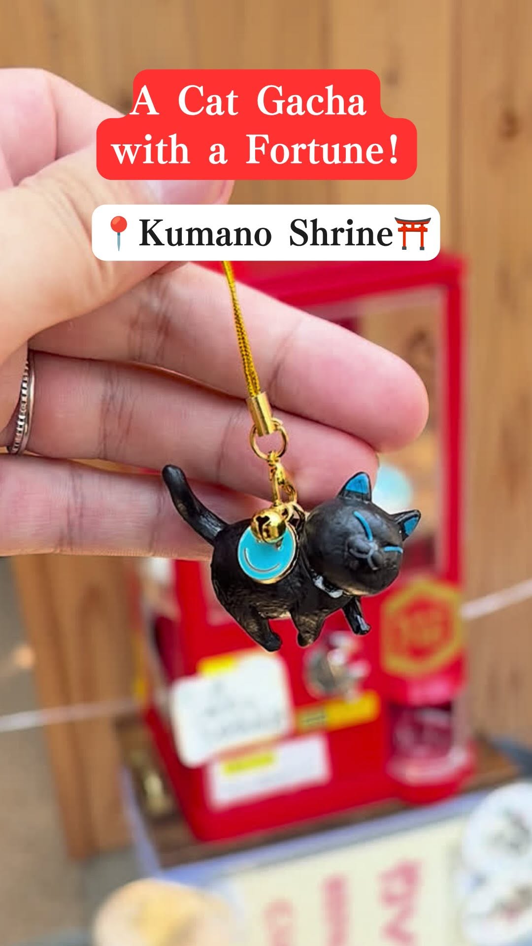 Tokyo Shrine Offers Unique Cat Gatcha and Fortunes