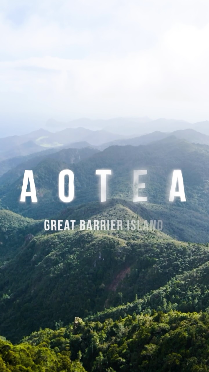 Off-Grid Escape To Great Barrier Island