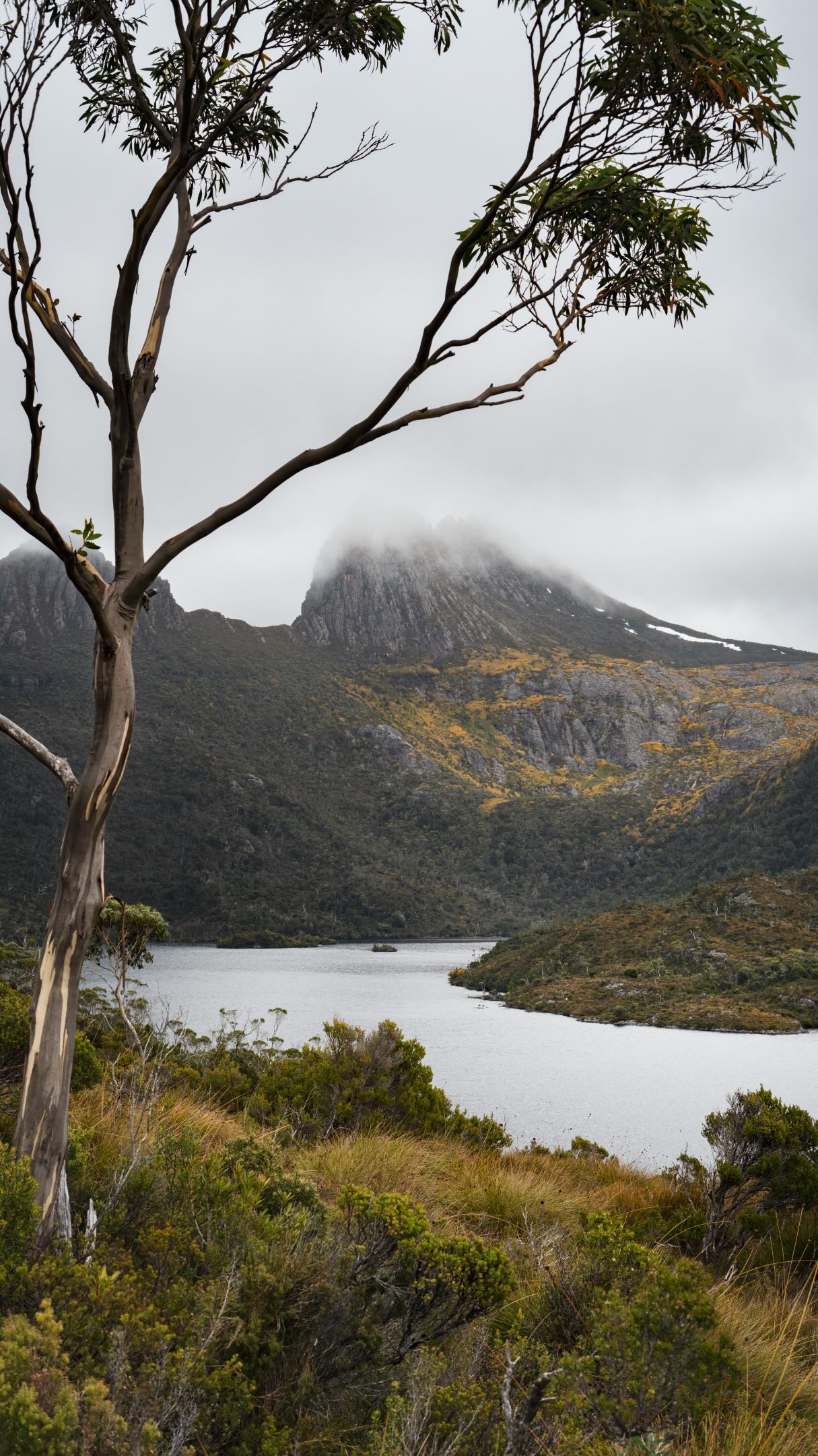 2 Attractions in Cradle Mountain