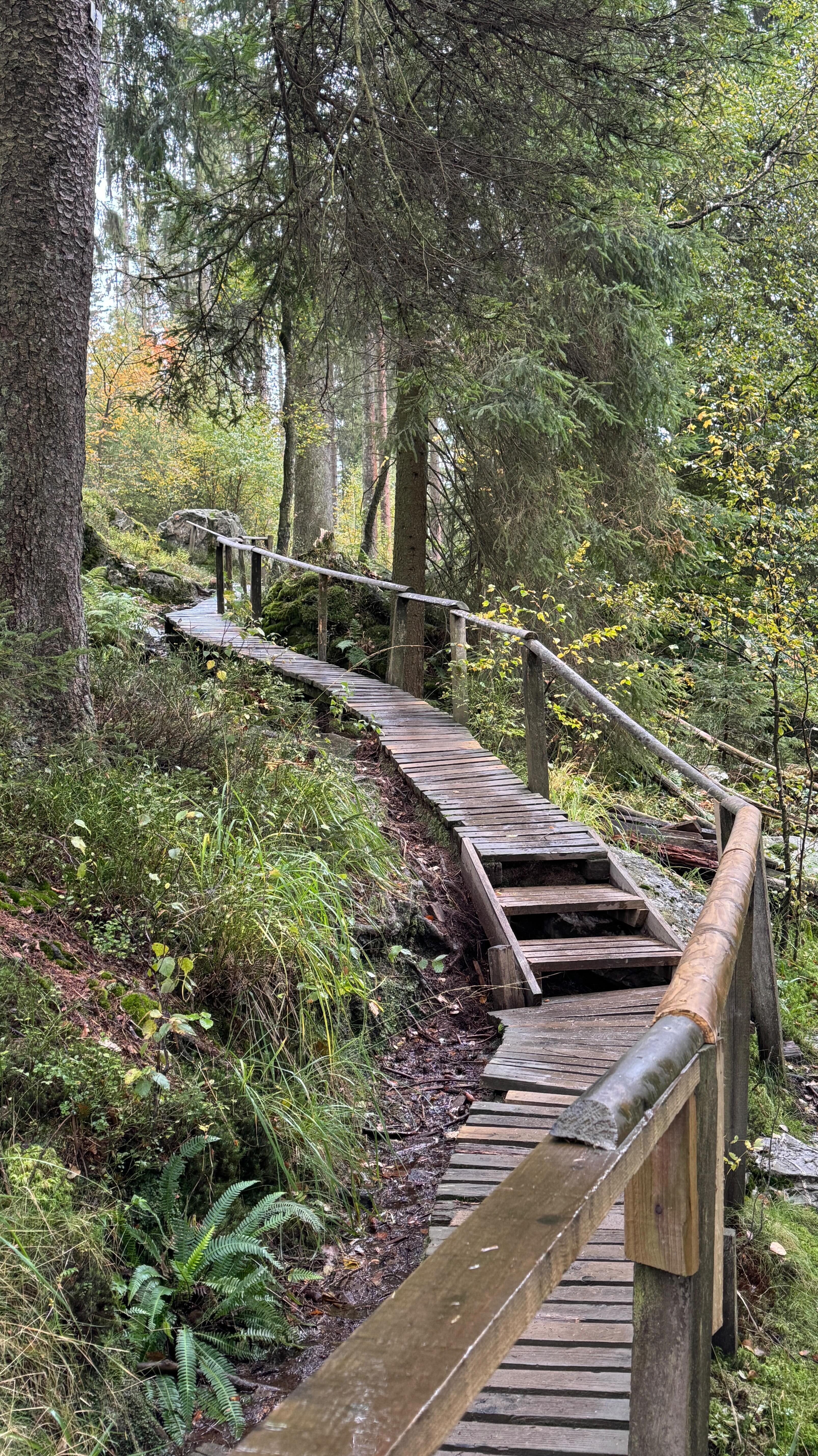 Hoëgne Valley Hiking Trail With Waterfalls
