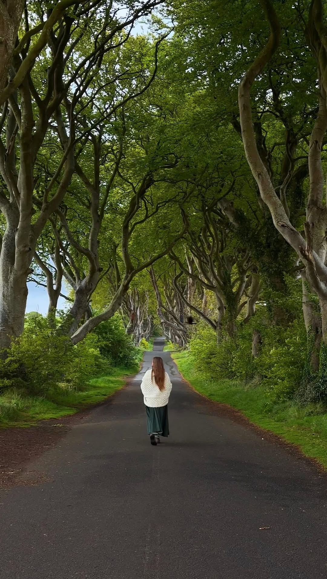 Northern Ireland and Ireland's Natural Wonders