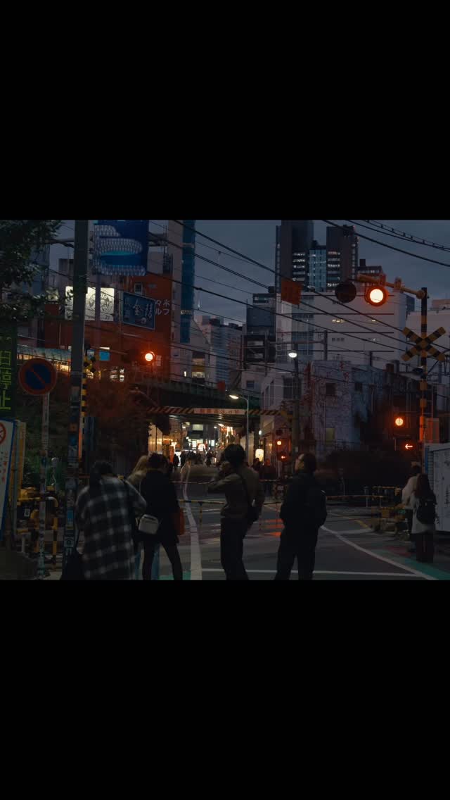 Tokyo Views and Culture Highlights