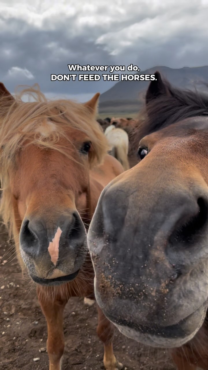 3 Attractions in Bláskógabyggð