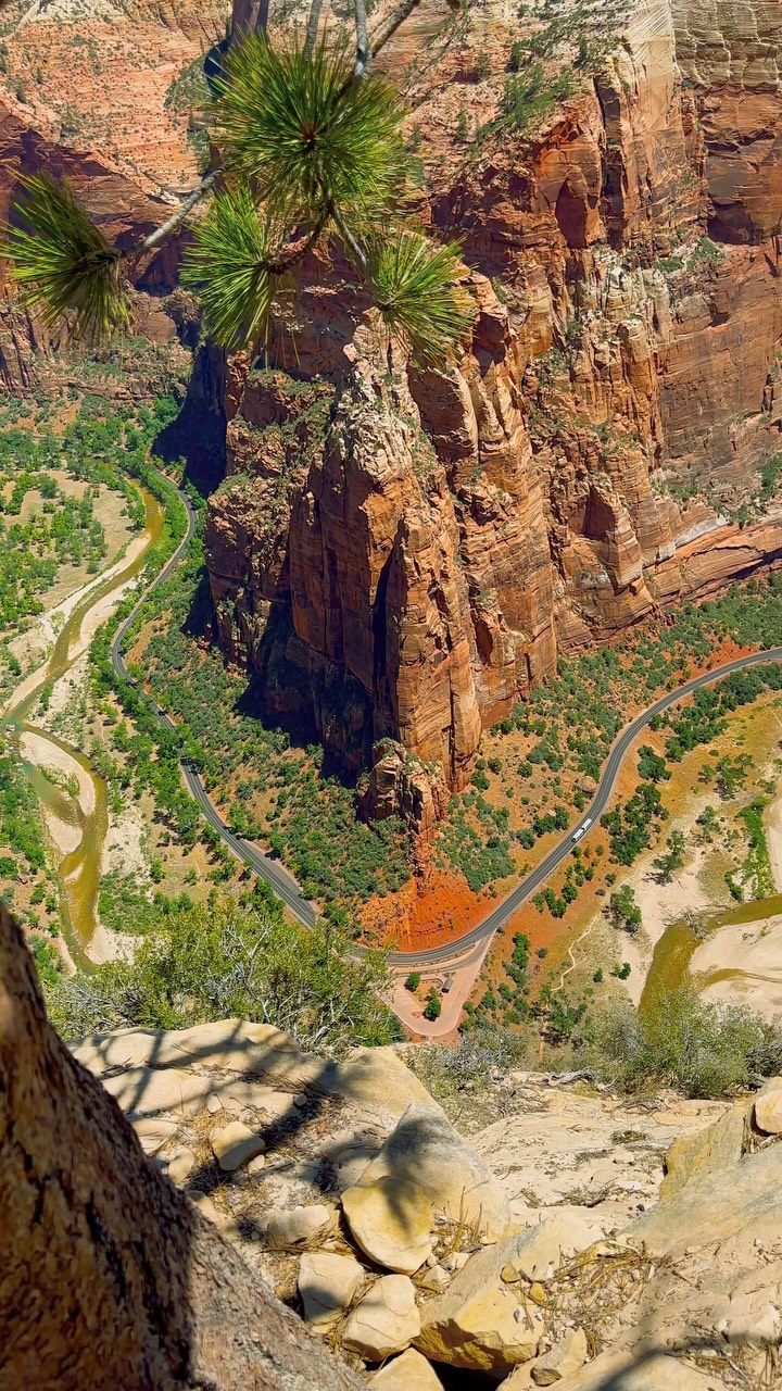 National Parks and Angel's Landing Hike