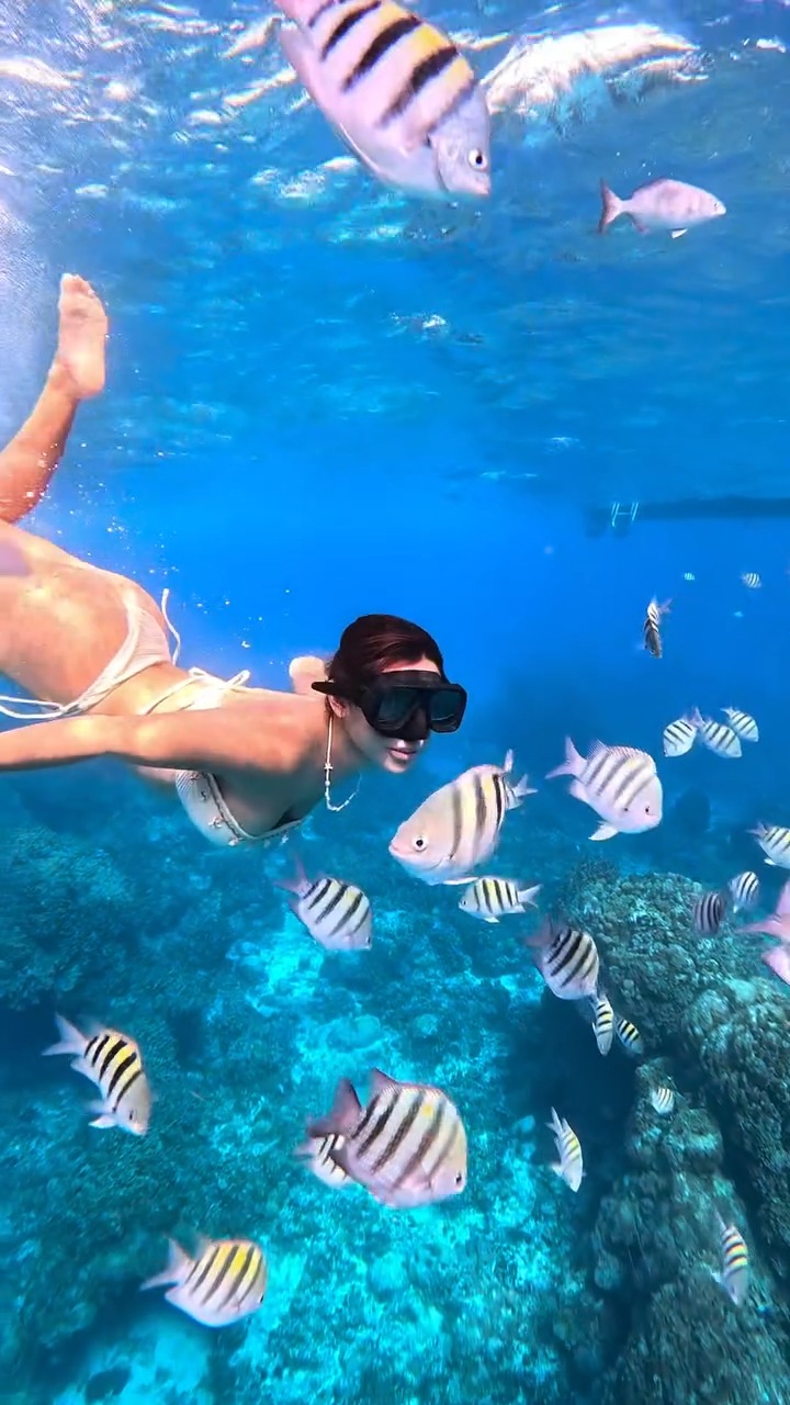 Snorkeling Day Trip to Cozumel's Crystal Waters