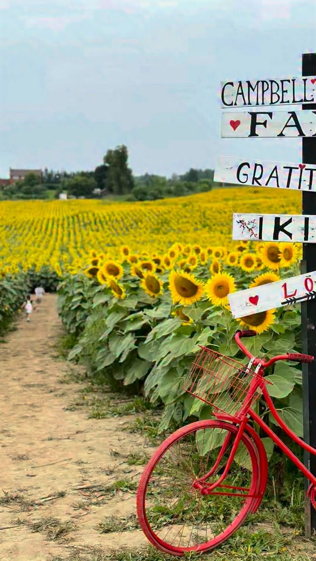 13 Places in Ontario