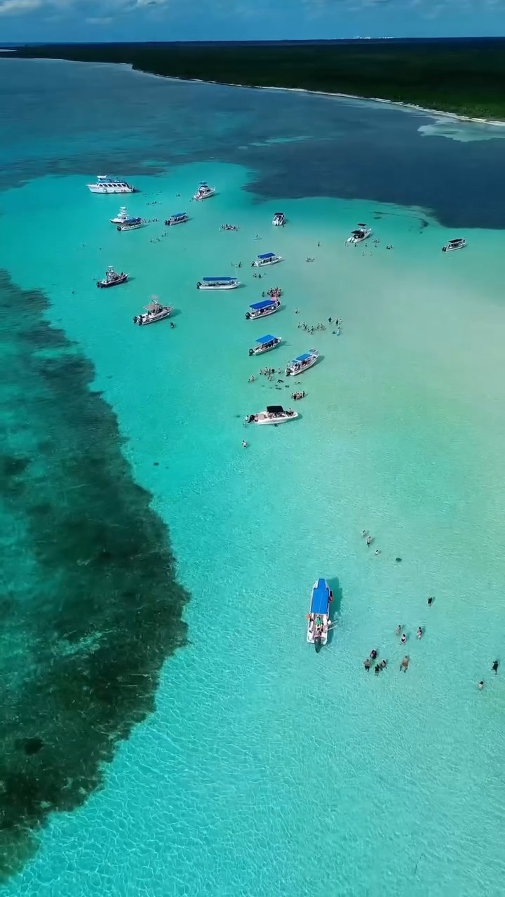 Cozumel's El Cielo Sandbar Tours
