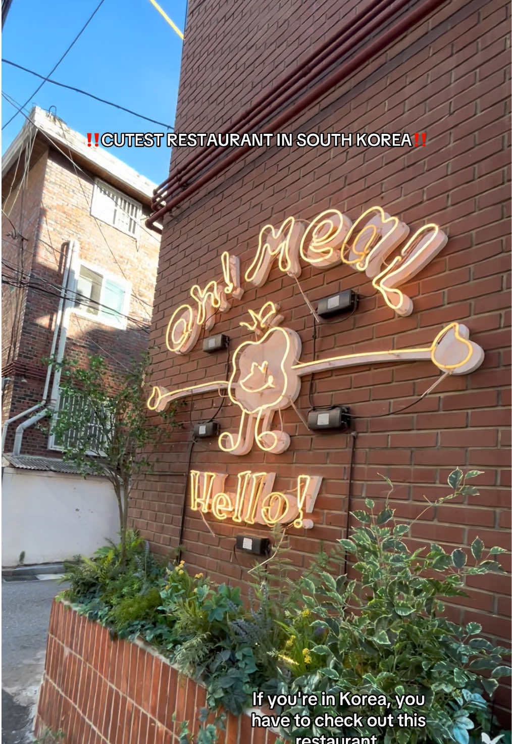 1 Restaurants in Seoul