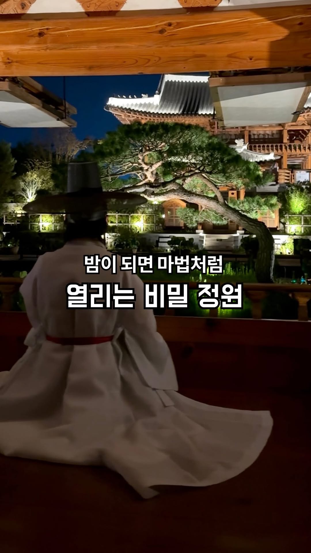 Sejong National Arboretum's Enchanting Night Garden