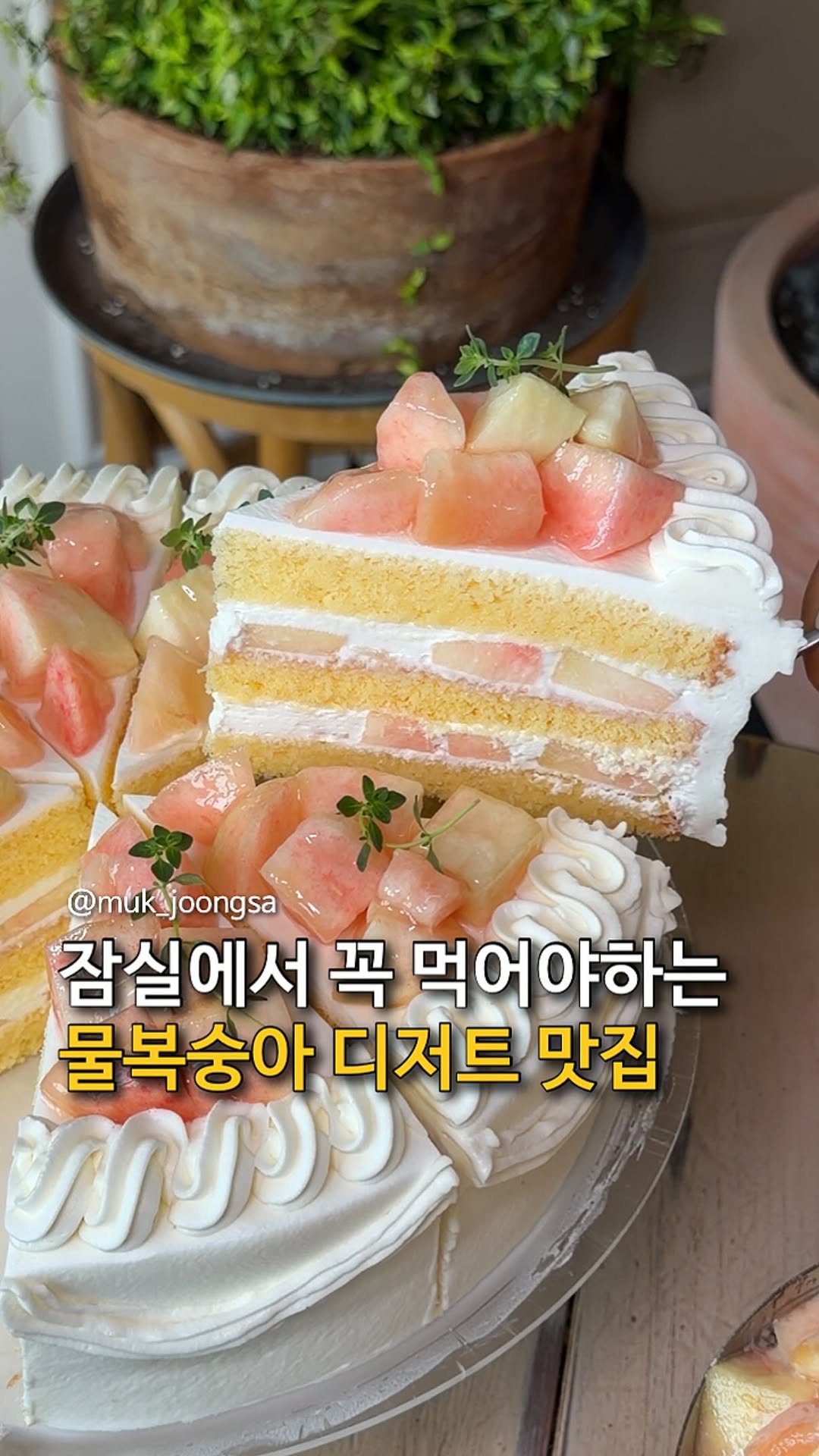 Café Pepper: Sweet Peach Desserts