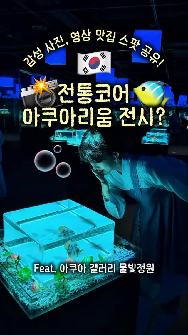 Lotte World Aquarium's Dreamy Water Light Garden