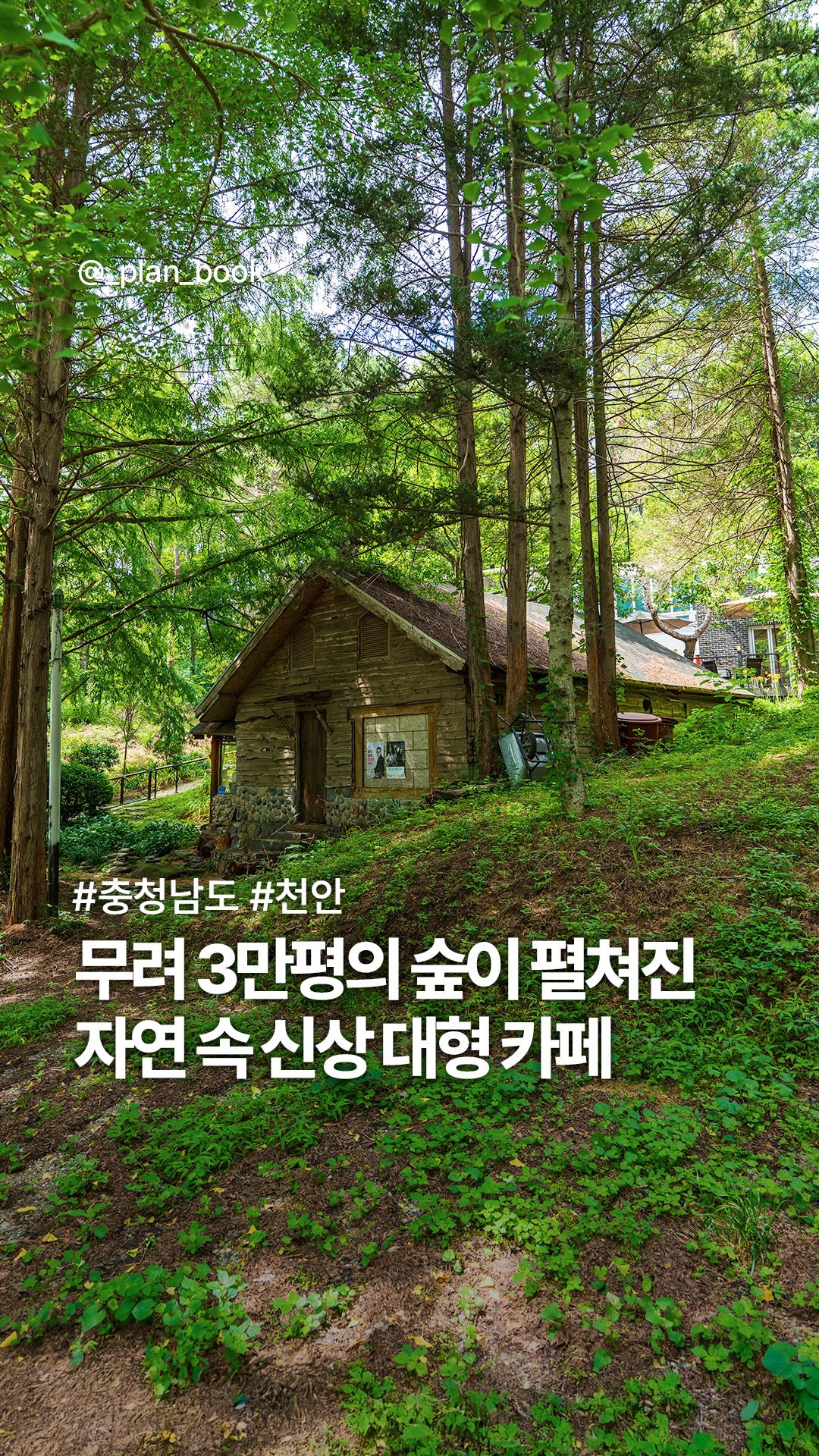 Nature Cafe With Expansive Garden And Forest
