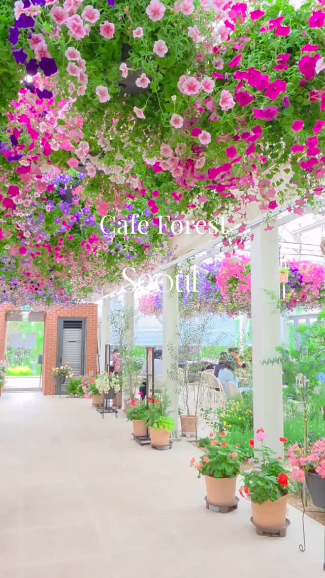 Forest Cafes with Views of Bulamsan Mountain